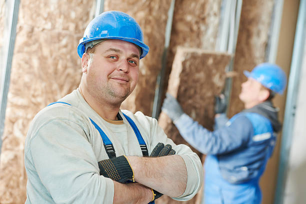 Best Eco-Friendly Insulation in Cutlerville, MI